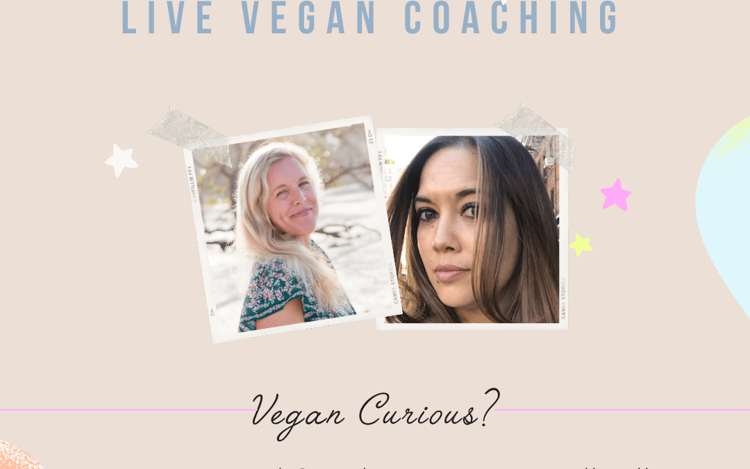 Wow, this week’s Live Vegan Coaching was amazing!